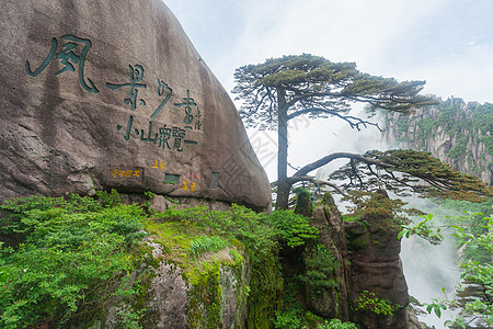 安徽黄山迎客松图片