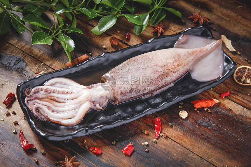 鱿鱼高清图片下载-正版图片501239347-摄图网