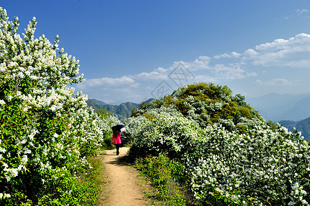 自然风光图片