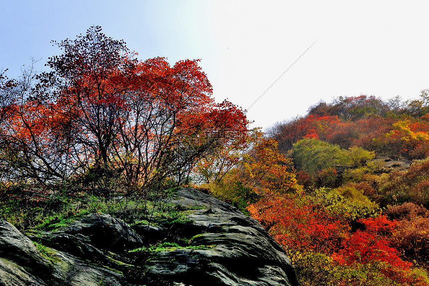 金龙峡秋景风光图片