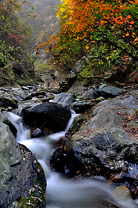 鄠邑区金龙峡秋景风光背景