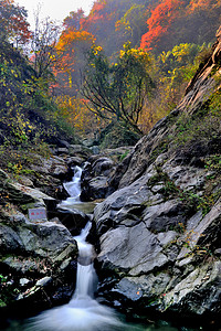 鄠邑区金龙峡秋景风光背景