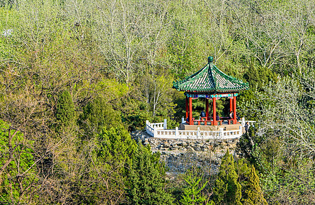 日坛公园建筑图片