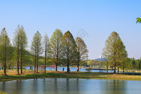 风景图片