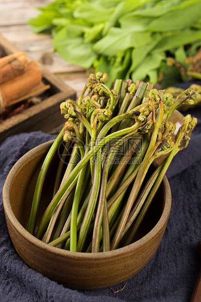 特色蔬菜蕨根图片