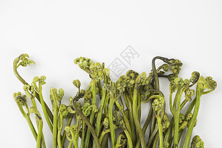 特色蔬菜蕨根背景图片
