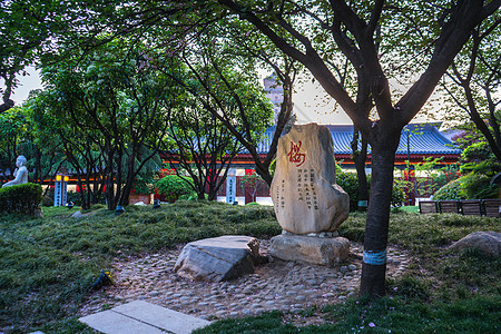 西安唐朝慈恩寺遗址公园背景图片