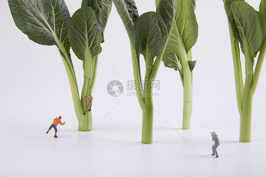 蔬菜创意小人图片