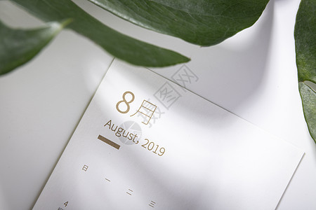 8月照片 8月背景 8月摄影图片下载 摄图网