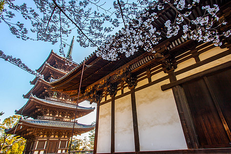 郑州中原福塔日本奈良兴福寺背景