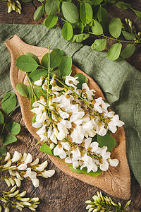 新鲜洋槐花鲜花洋槐花高清图片