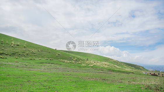 新疆伊犁高山草甸草原图片