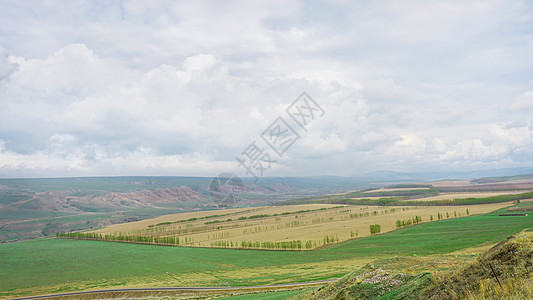 新疆伊犁高山草甸草原背景图片