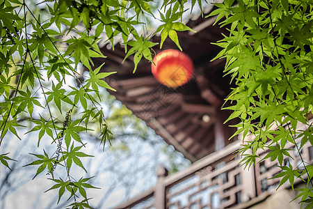 枫叶与中国古代建筑背景图片