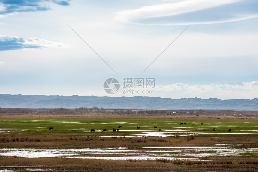 草原 湿地 草原,苏布达,内蒙古乌拉盖湿地草原植被生态损伤评价