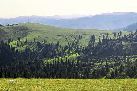 新疆天山山脉森林草场图片