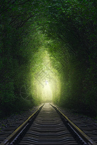 爱情森林隧道图片