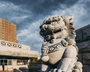 中国科学技术大学校门石狮背景