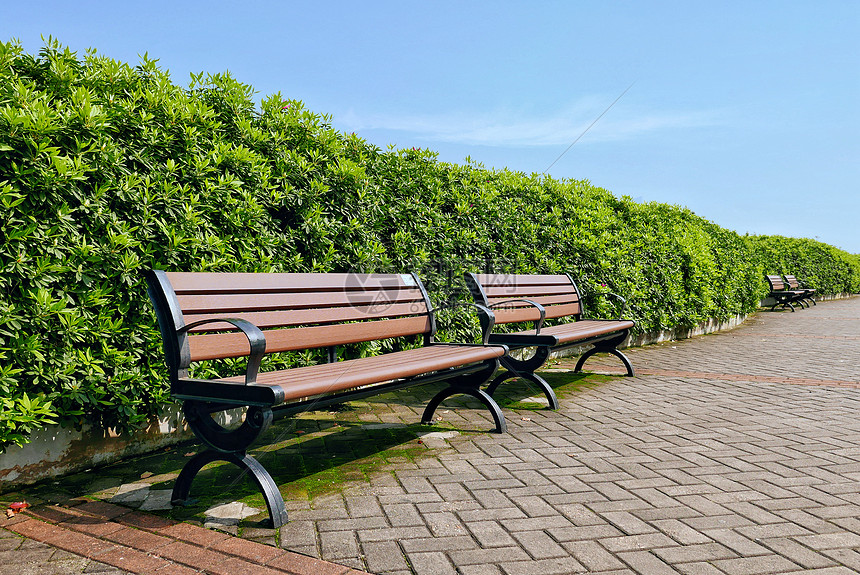 ‘~橘子洲临江绿化步道休息椅  ~’ 的图片