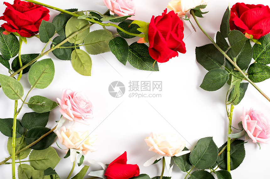 玫瑰花高清图片下载 正版图片 摄图网