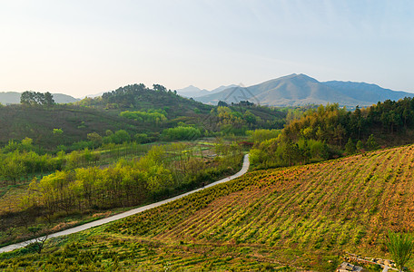 江苏溧阳山间小路高清图片