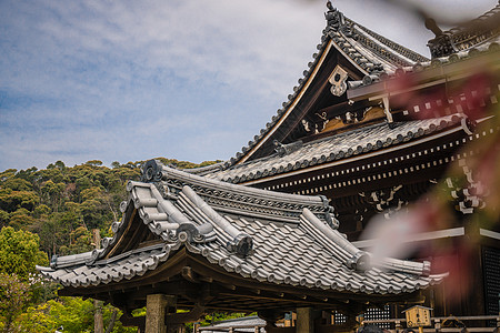 日本京都清水寺春季图片