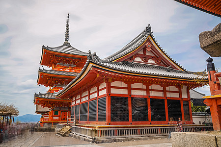 日本 樱花日本京都清水寺春季背景