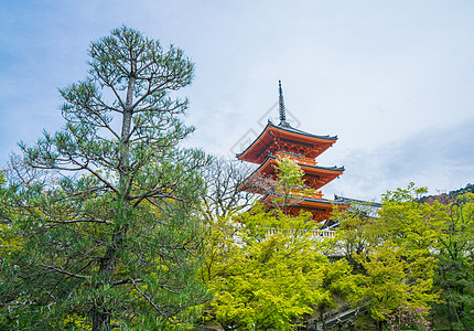 日本京都清水寺春季背景图片