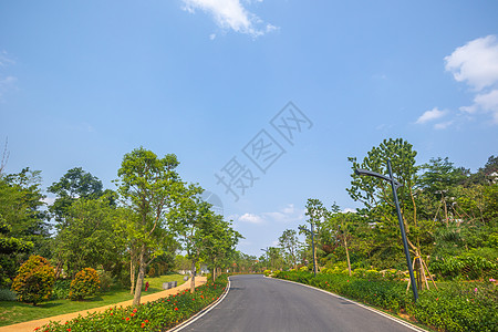 花园城市园林小道背景