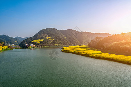 油菜花花海美景背景图片