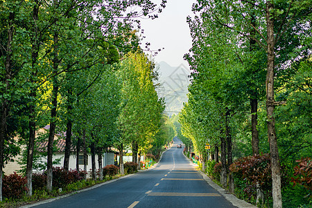 安徽皖南318旅行自驾公路图片