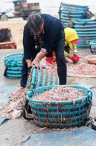 渔民的收获赶海打渔图片素材
