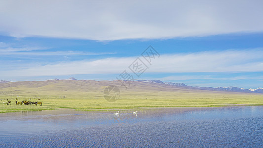 新疆巴音布鲁克草原图片