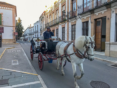 西班牙龙达街景马车背景图片