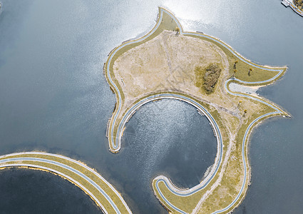 湖滨绿地海豚形状高清图片