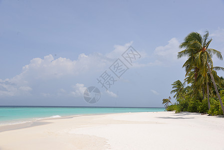 马尔代夫芙拉瓦丽度假岛图片
