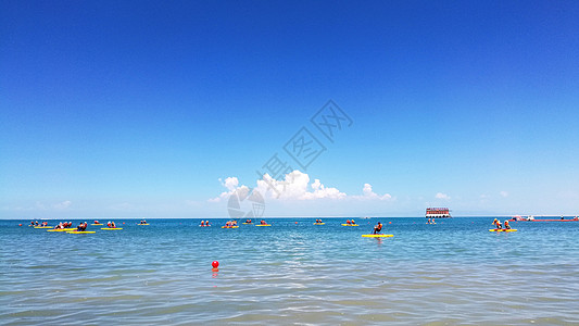 海里游泳大西北青海湖风光背景