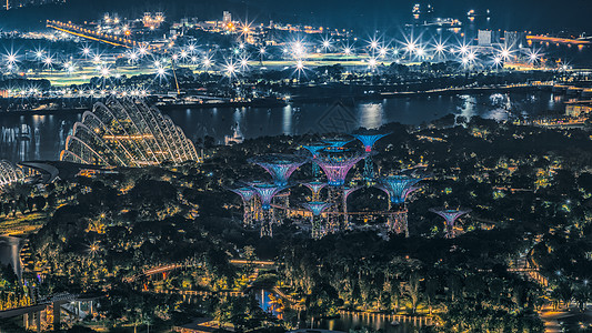 新加坡滨海湾花园新加坡滨海湾公园夜景背景