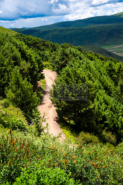 山间小路图片