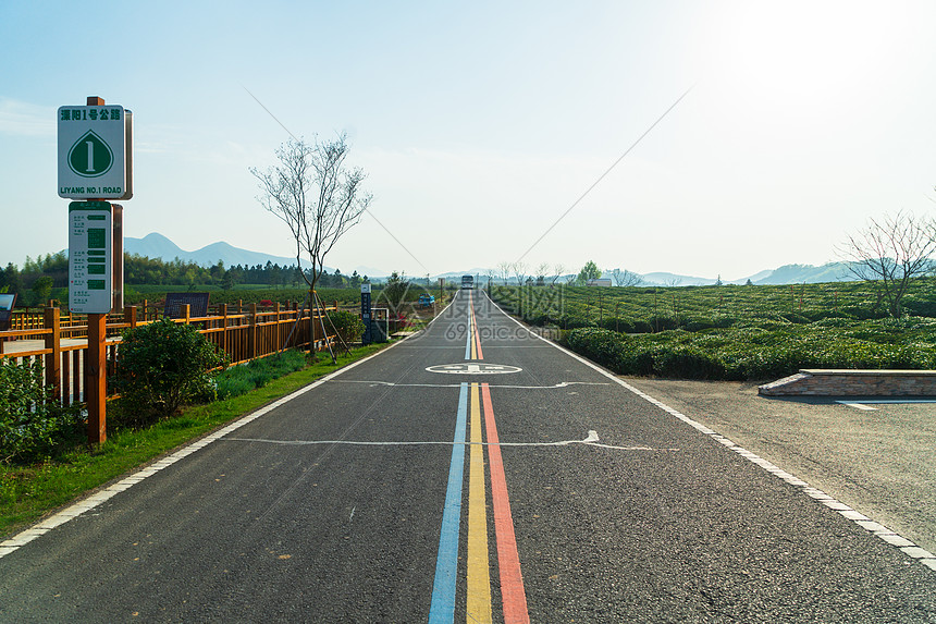 江苏溧阳网红最美一号公路图片