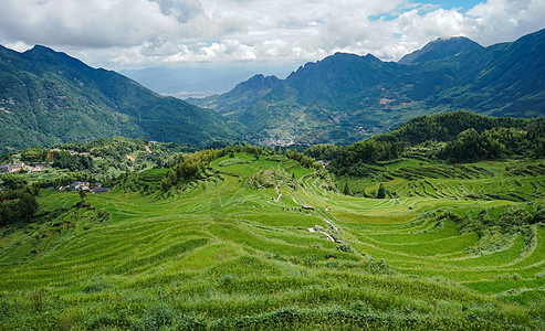 丽水梯田浙江丽水云和梯田背景