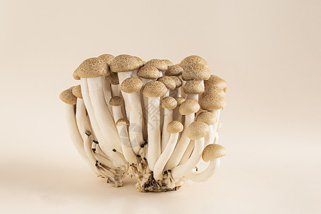 蟹味菇菌菇玉石纹高清图片