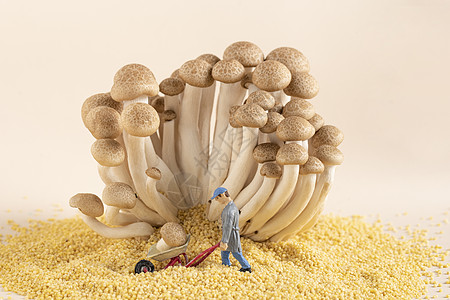 微距蘑菇创意微距劳动小人背景