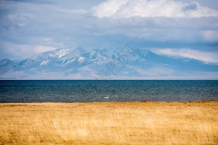 风光雪山新疆赛里木湖雪山草原风光背景