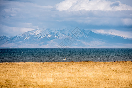 新疆赛里木湖雪山草原风光图片