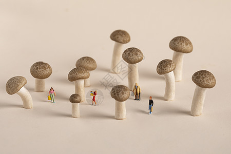 微距蘑菇创意微距小人背景