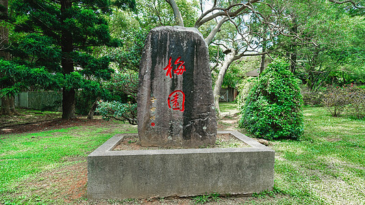 台湾清华大学梅园背景图片