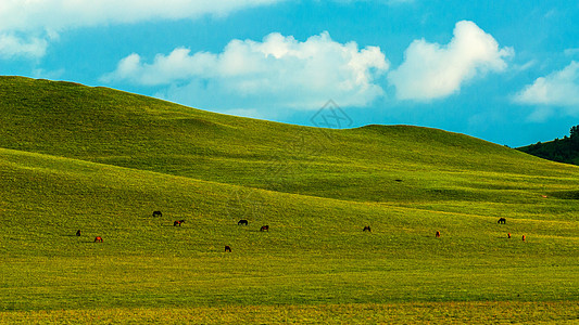 风景桌面自然风景背景