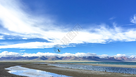 西藏羊湖景区风光背景图片