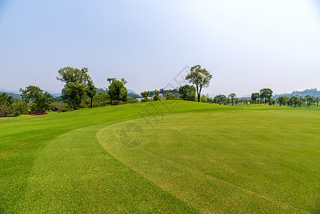 高尔夫草坪图片